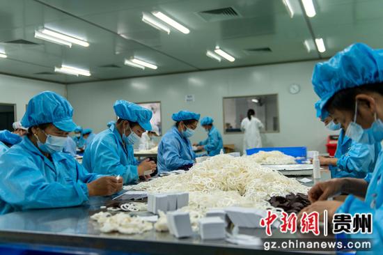 貴州從江 沖刺首季 開門紅