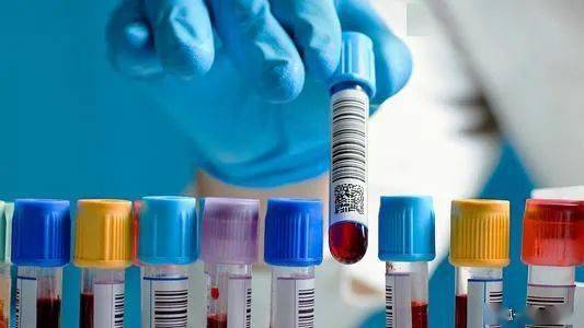 經(jīng)緯中國參投這家寵物醫(yī)療機構(gòu) 腫瘤篩查服務(wù)商完成近億元b輪融資 投資速遞