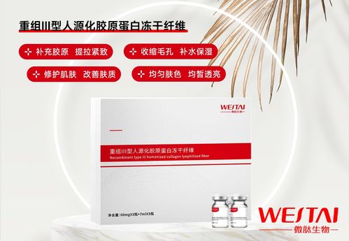 醫(yī)用重組iii型人源膠原蛋白凍干纖維 高純度 低內(nèi)毒 源頭工廠oem